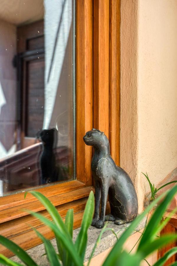 Maggiore 145 Apartment With Private Garden - Rione Monti Roma Exterior foto